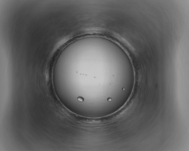 X0000111131261200907071010