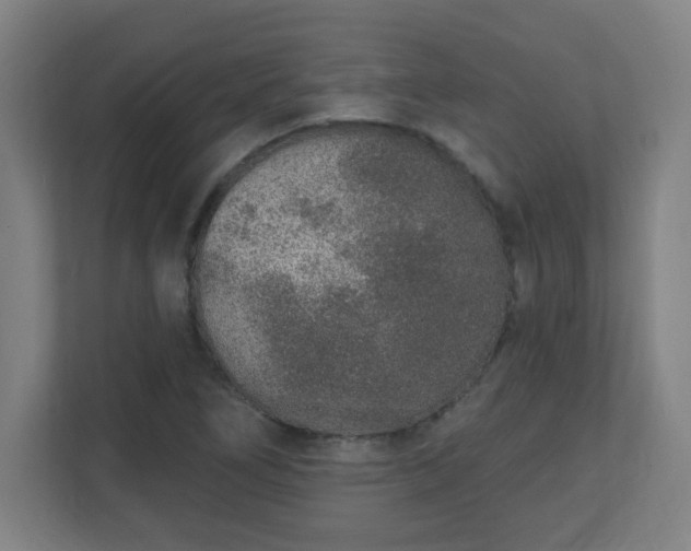 X0000111131266200907071010
