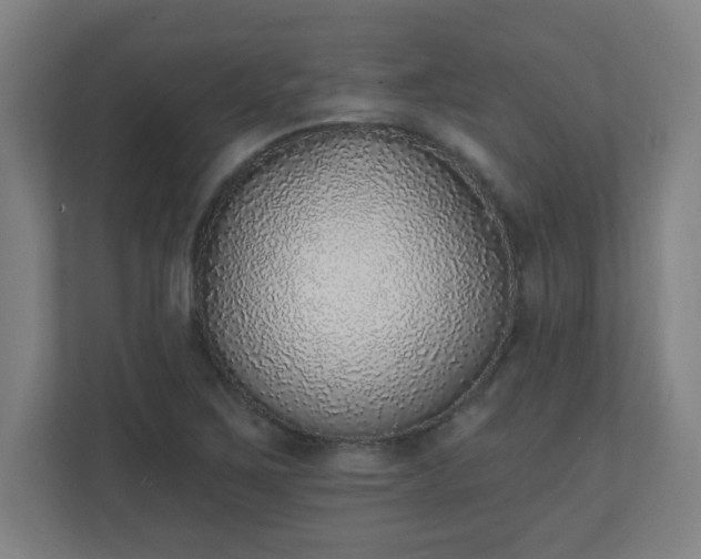 X0000111131267200907071010