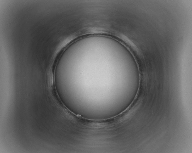 X0000111131269200907071010