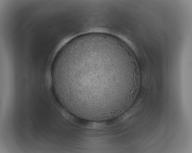 X0000111131271200907071010