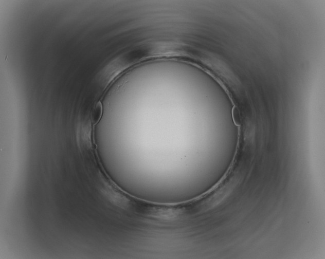 X0000111131273200907071010