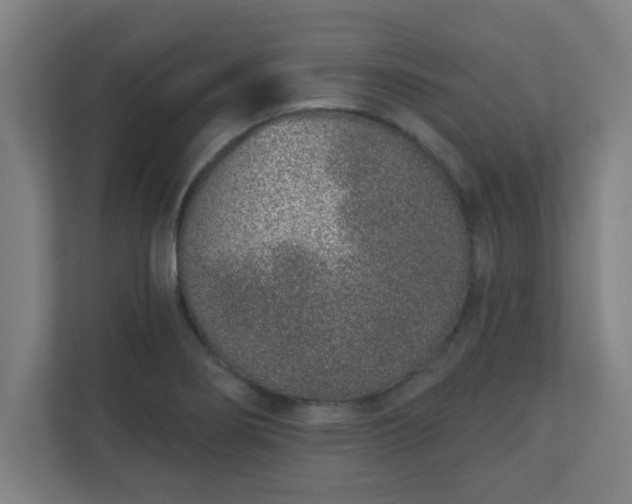 X0000111131274200907071010