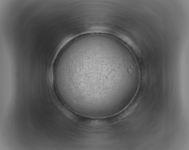 X0000111131275200907071010