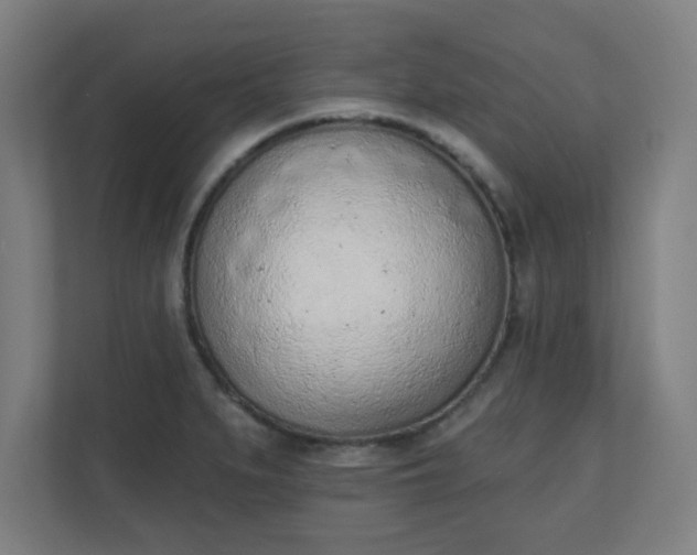 X0000111131279200907071010