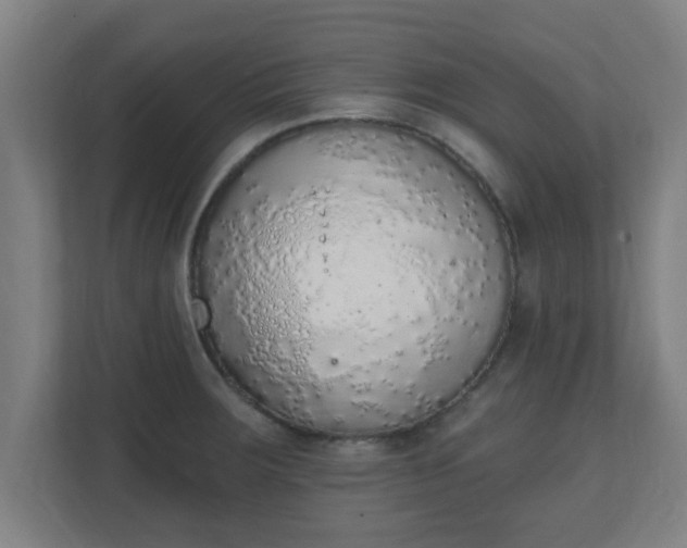 X0000111131283200907071010