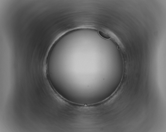 X0000111131284200907071010