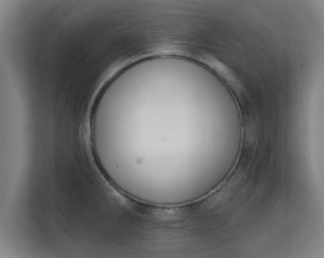 X0000111131286200907071010