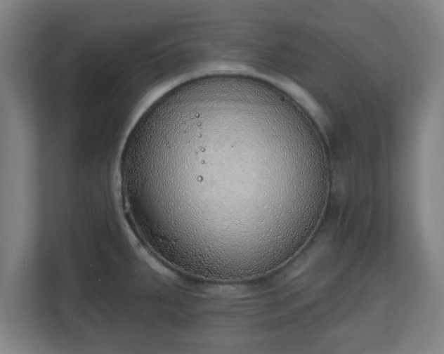 X0000111131287200907071010