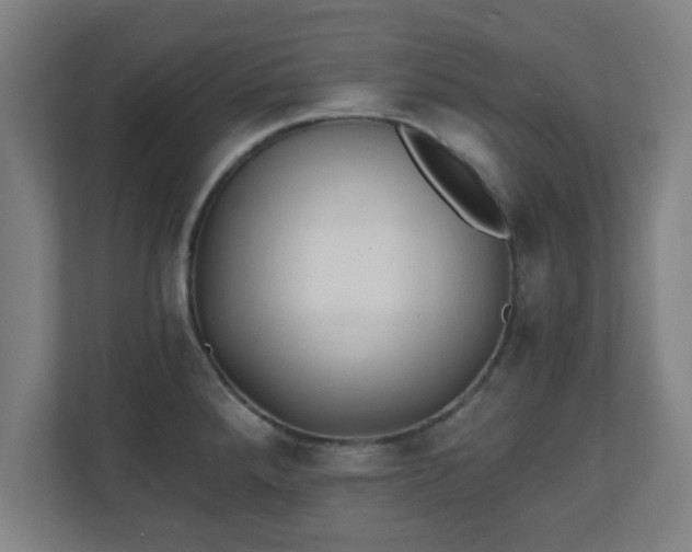 X0000111131288200907071010