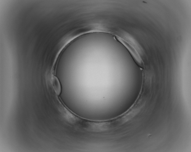 X0000111131292200907071010