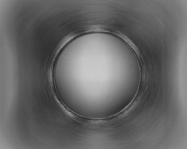 X0000111131293200907071010