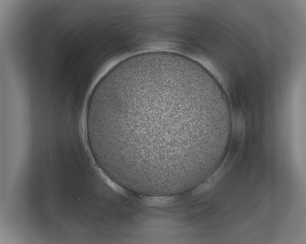 X0000111131294200907071010