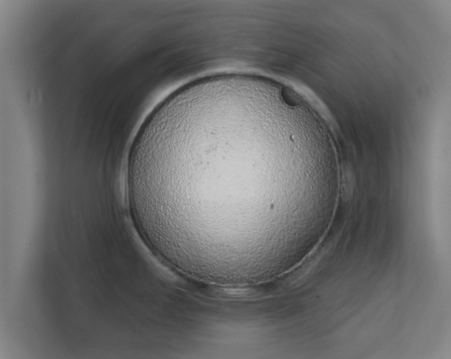 X0000111131295200907071010
