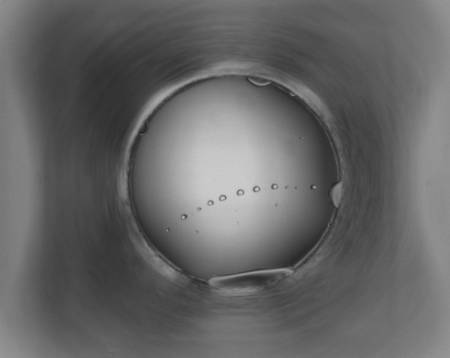 X0000111131296200907071010