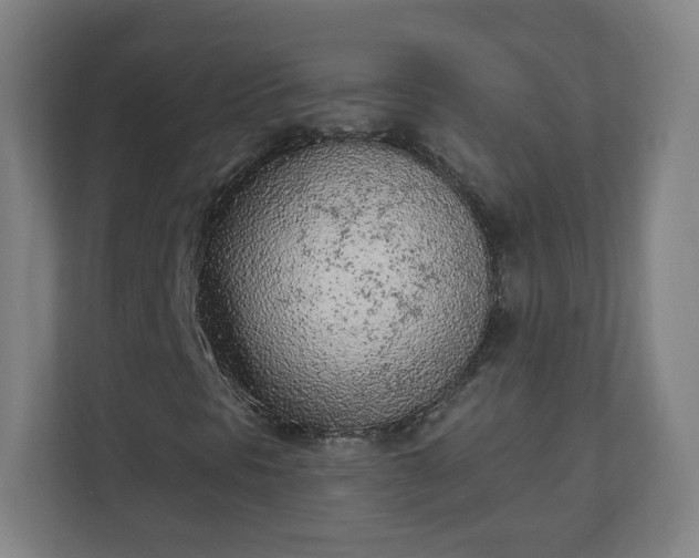 X0000111131297200907071009
