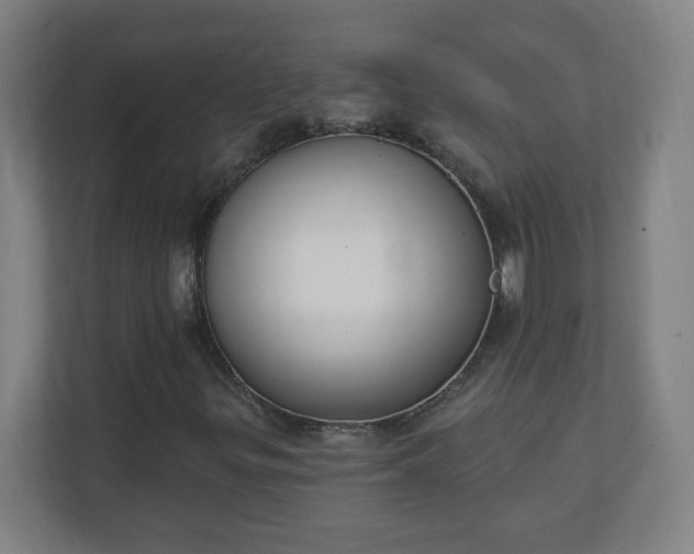 X0000111131299200907071009