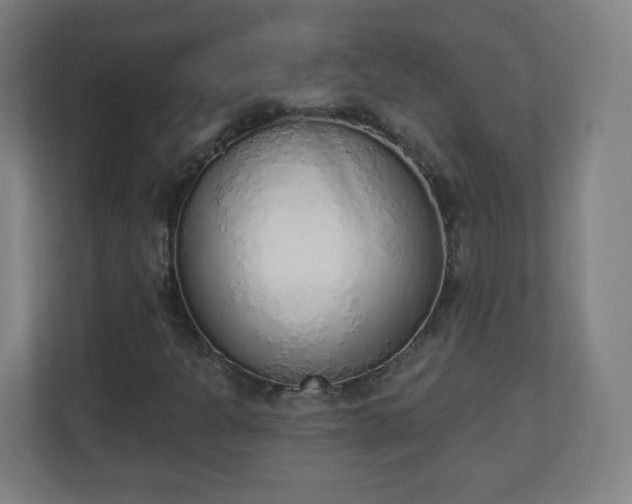 X0000111131301200907071009