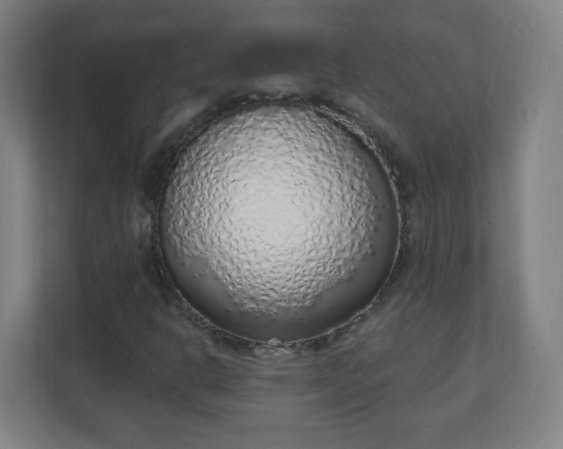 X0000111131302200907071009