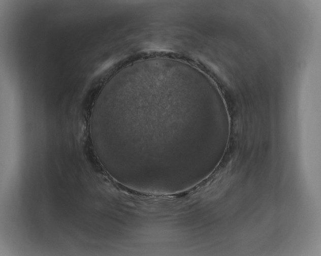 X0000111131303200907071009