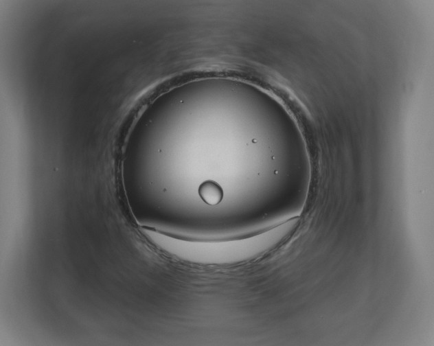 X0000111131304200907071009