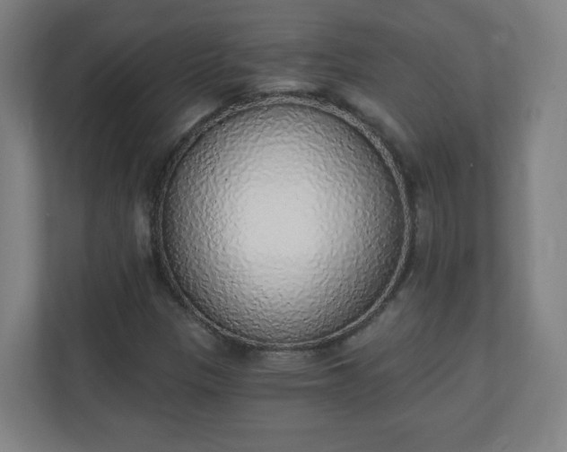 X0000111131305200907071009