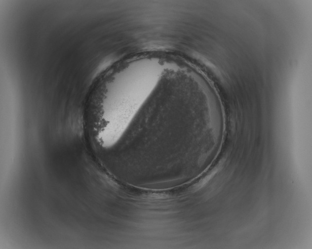 X0000111131306200907071009