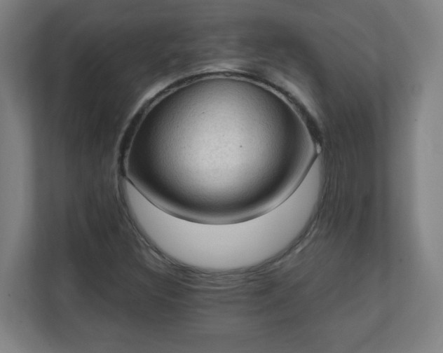 X0000111131308200907071009