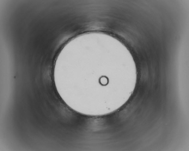 X0000111131314200907071010