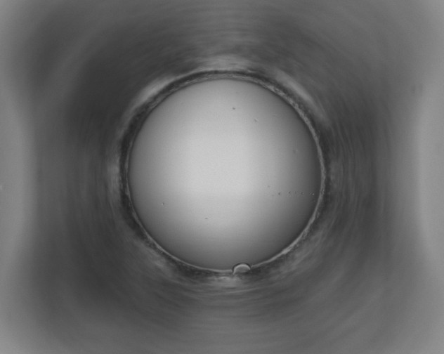 X0000111131315200907071010