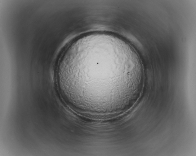 X0000111131318200907071010