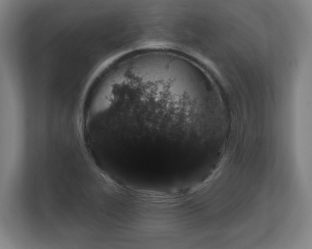 X0000111131319200907071010
