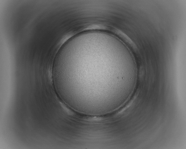 X0000111131321200907071010