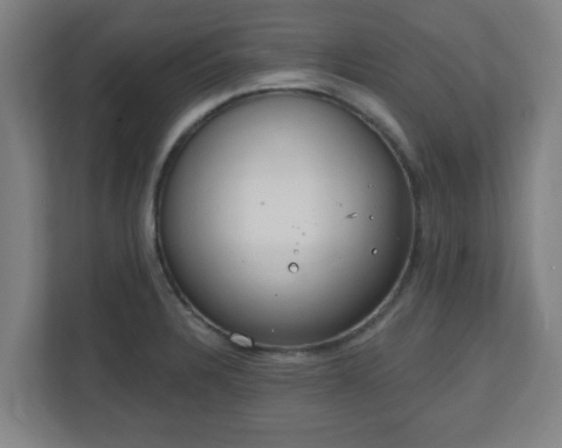 X0000111131328200907071010