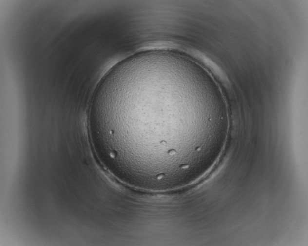 X0000111131329200907071010