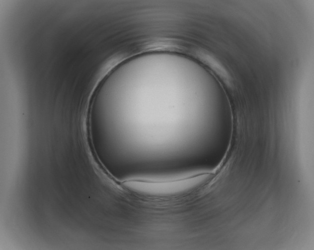 X0000111131330200907071010