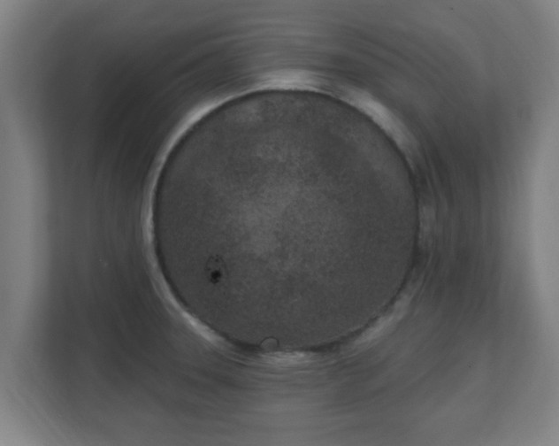 X0000111131331200907071010