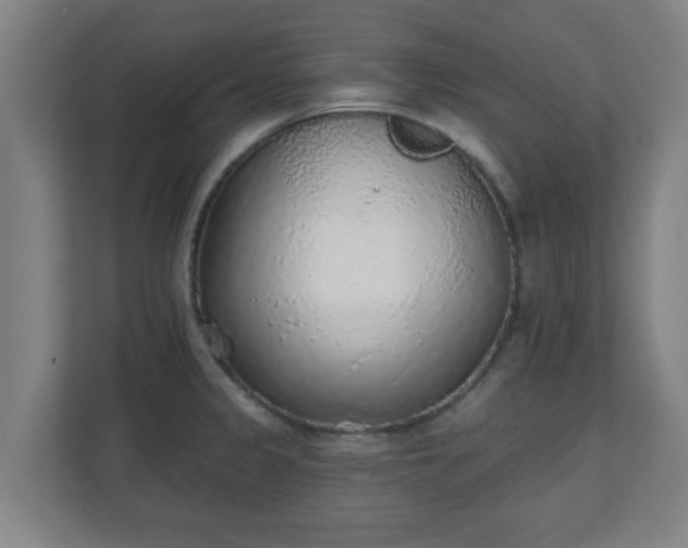 X0000111131333200907071010
