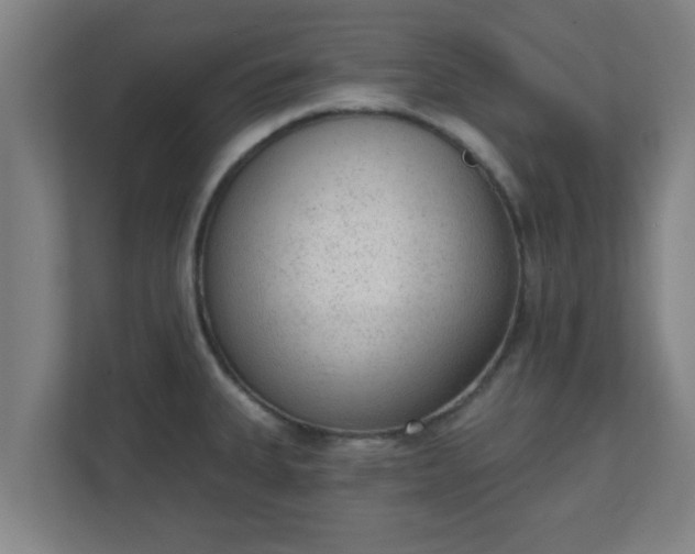 X0000111131335200907071010