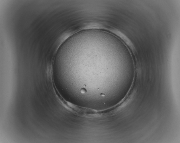 X0000111131337200907071010
