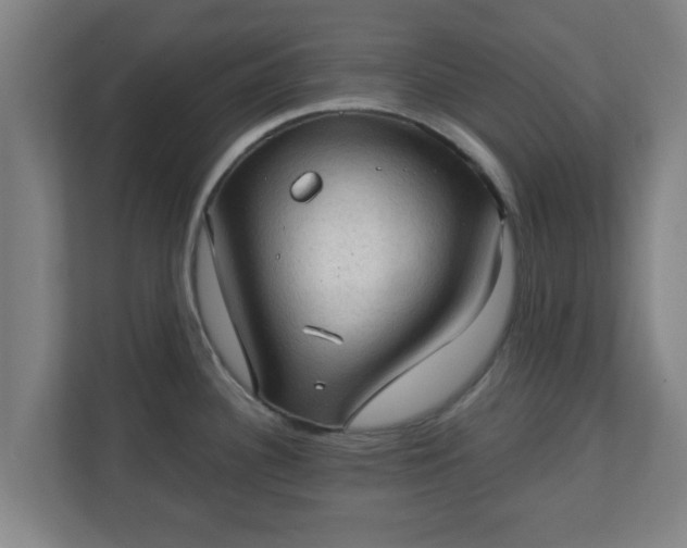 X0000111131340200907071010