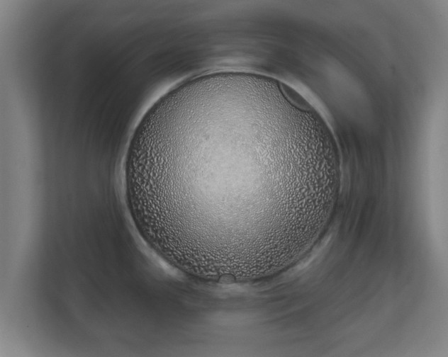 X0000111131341200907071010