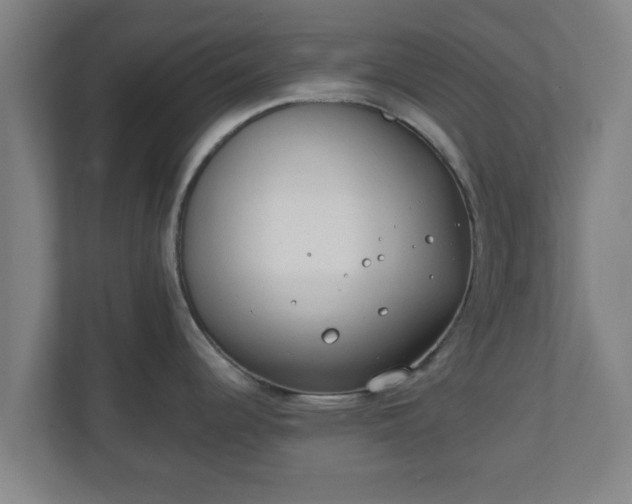 X0000111131344200907071010