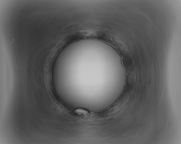 X0000111131345200907071009