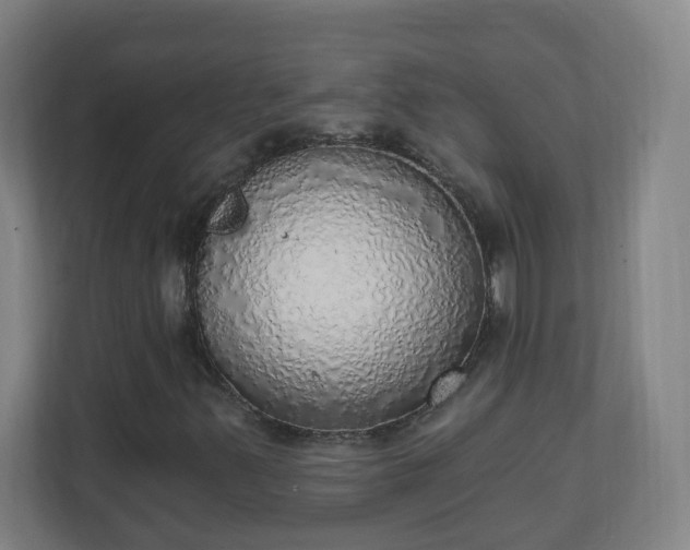 X0000111131347200907071009