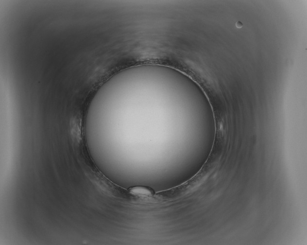 X0000111131348200907071009