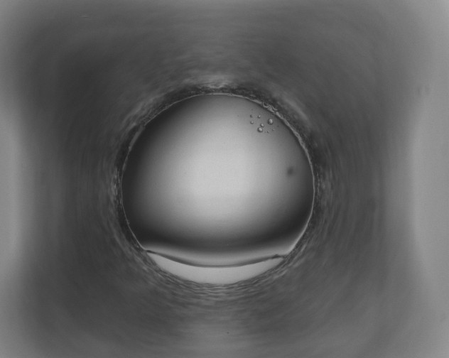 X0000111131349200907071009