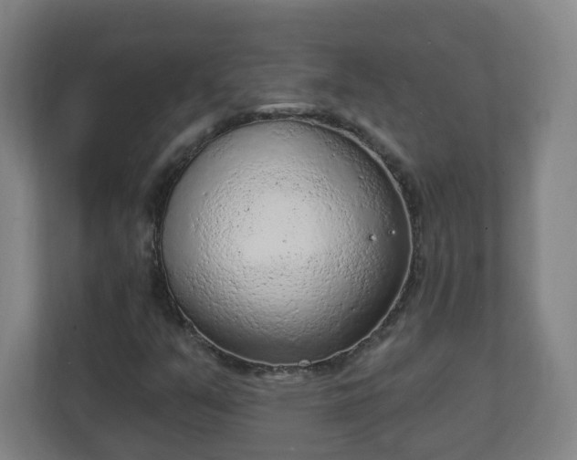X0000111131351200907071009