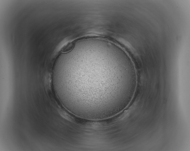 X0000111131355200907071009