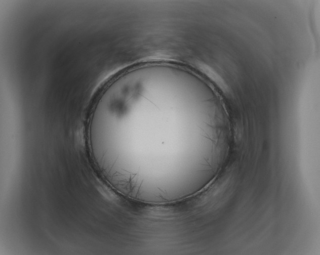 X0000111131356200907071009